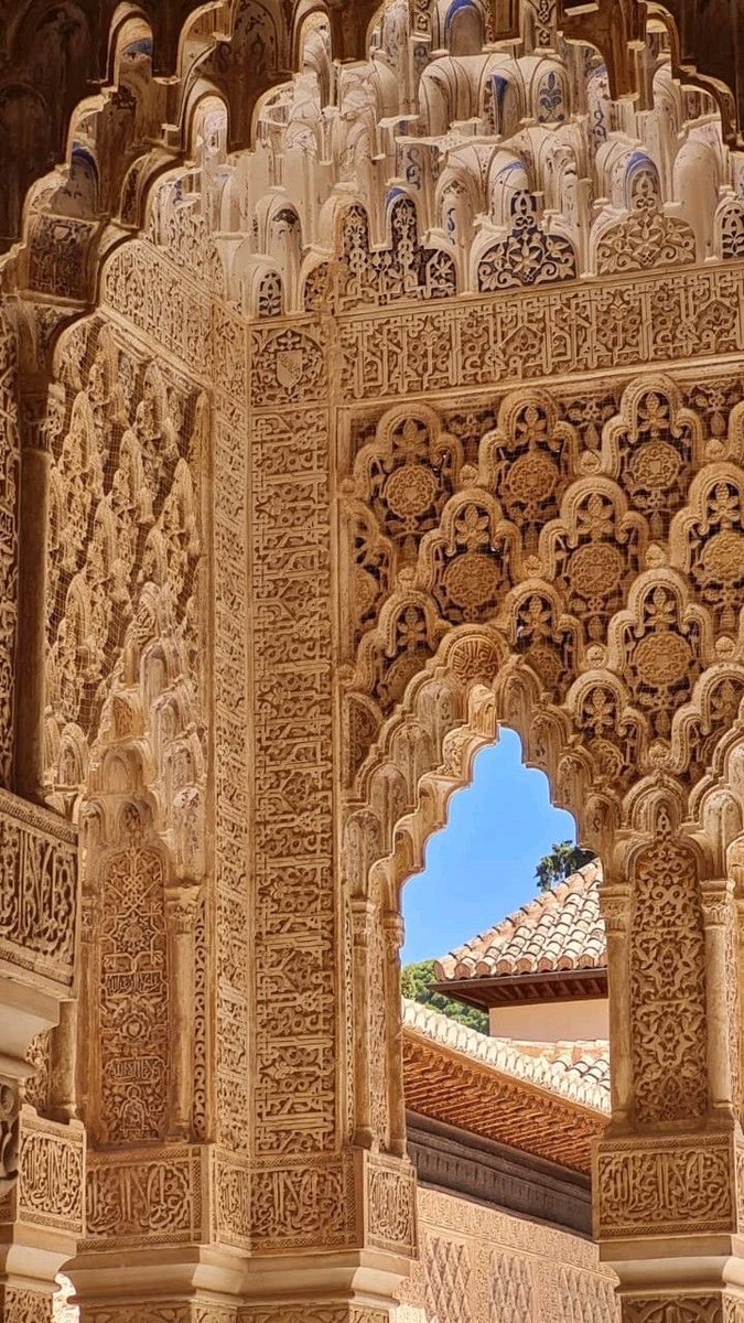 This is world tweet media