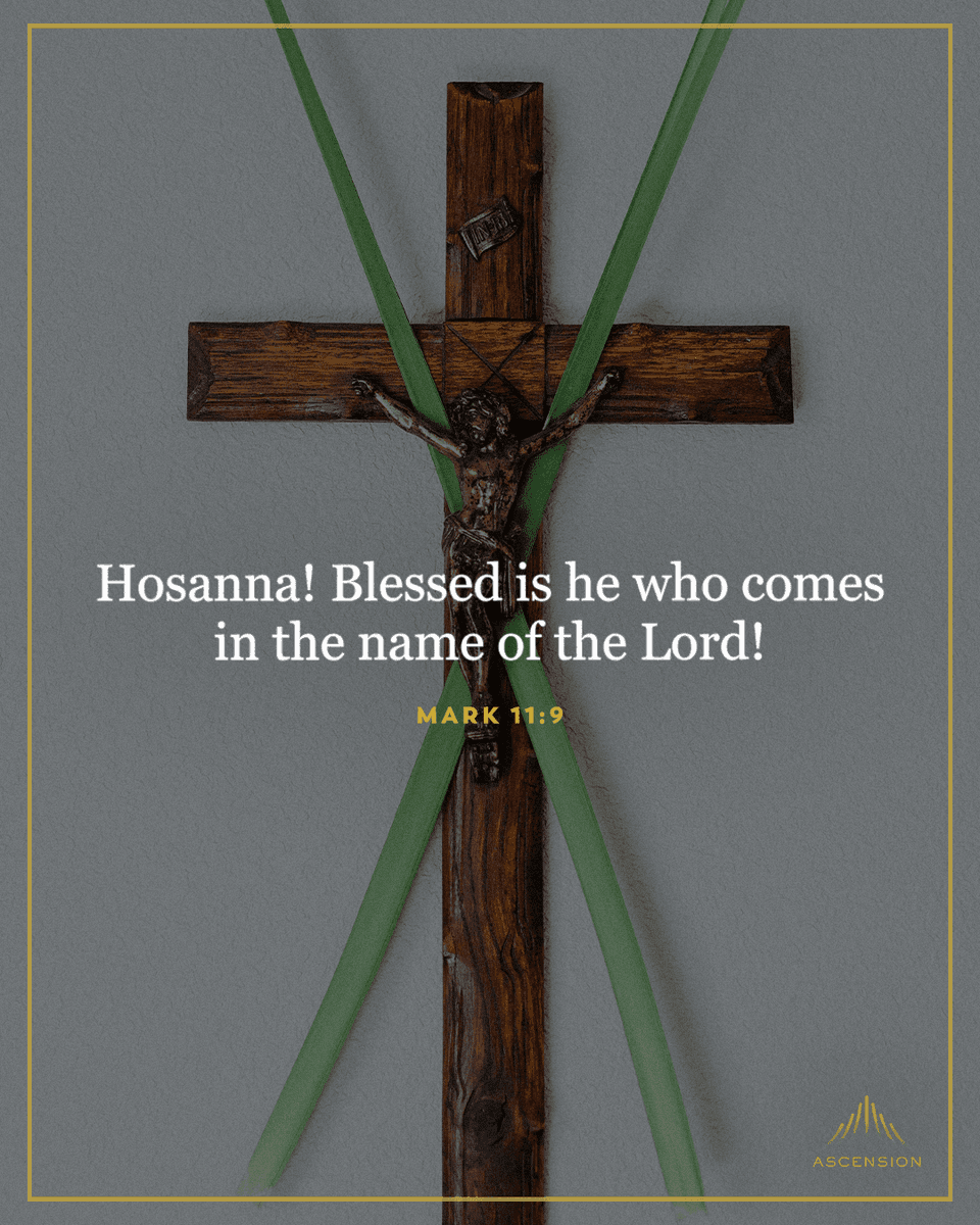 Ascension tweet media