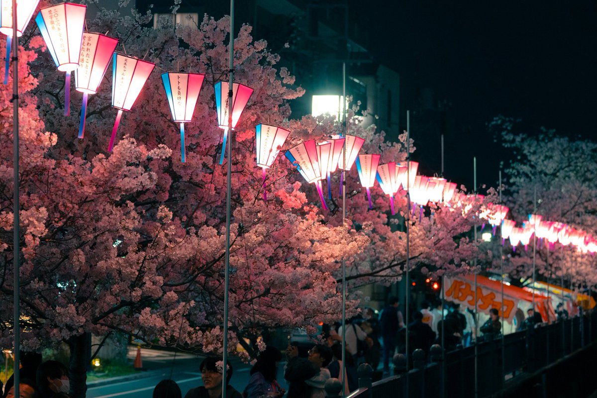 MaximusOP tweet media