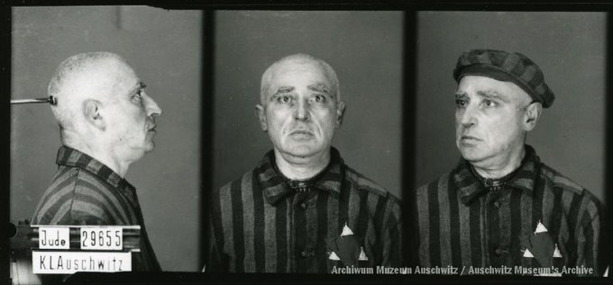 Muzeum Auschwitz tweet media