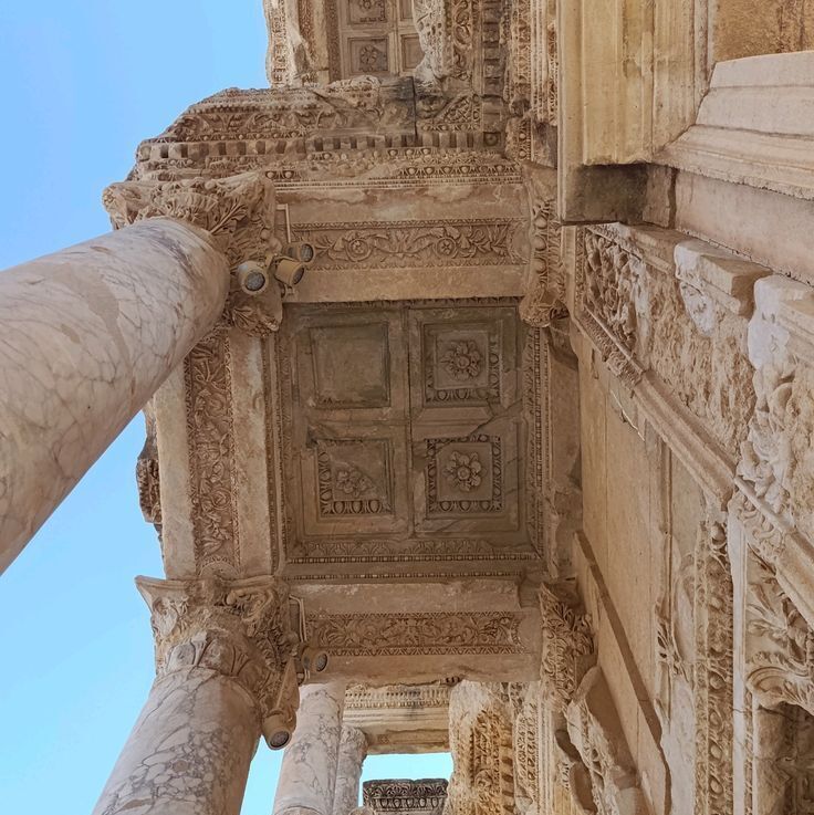 MozartCultures tweet media