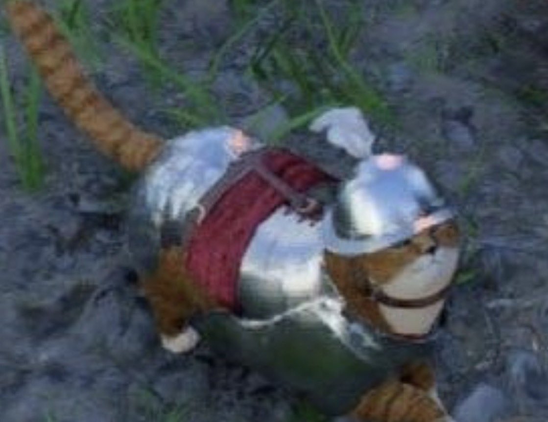 Pascal | HINSUSTA tweet media