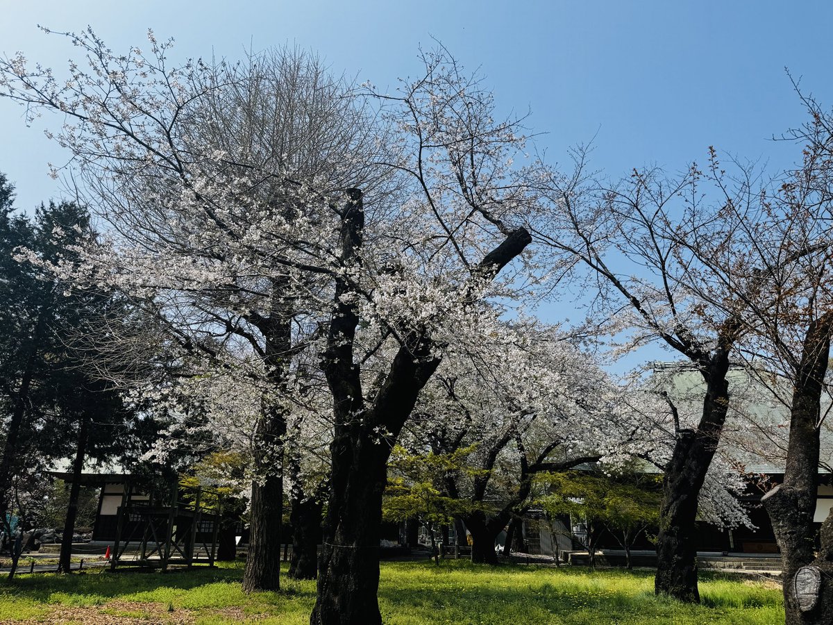 内海聡子＊作編曲家シンガーソングライター＊ tweet media
