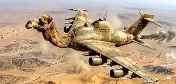 𓆩𝒜𝓌𝓁𝒾𝒹 𝒪𝓂𝒶𝓇ℯ𓆪 tweet media