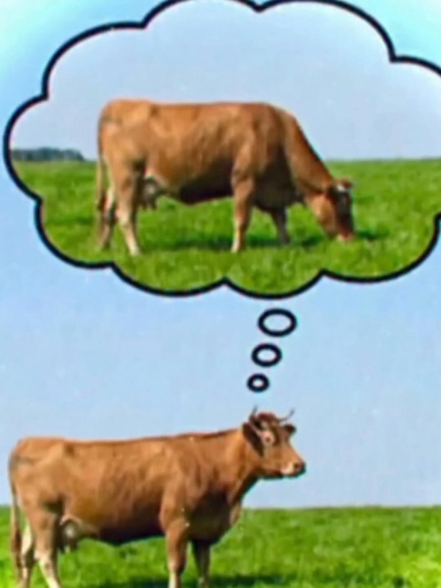 ً🪱 █̶̳̘͛̄̃͒̄̃͜█̴͇̱̅͒̅█̵̻̣̝͒̈̄ █̶̳̘͛̄̃͒̄̃͜█̴͇̱̅͒̅ tweet media