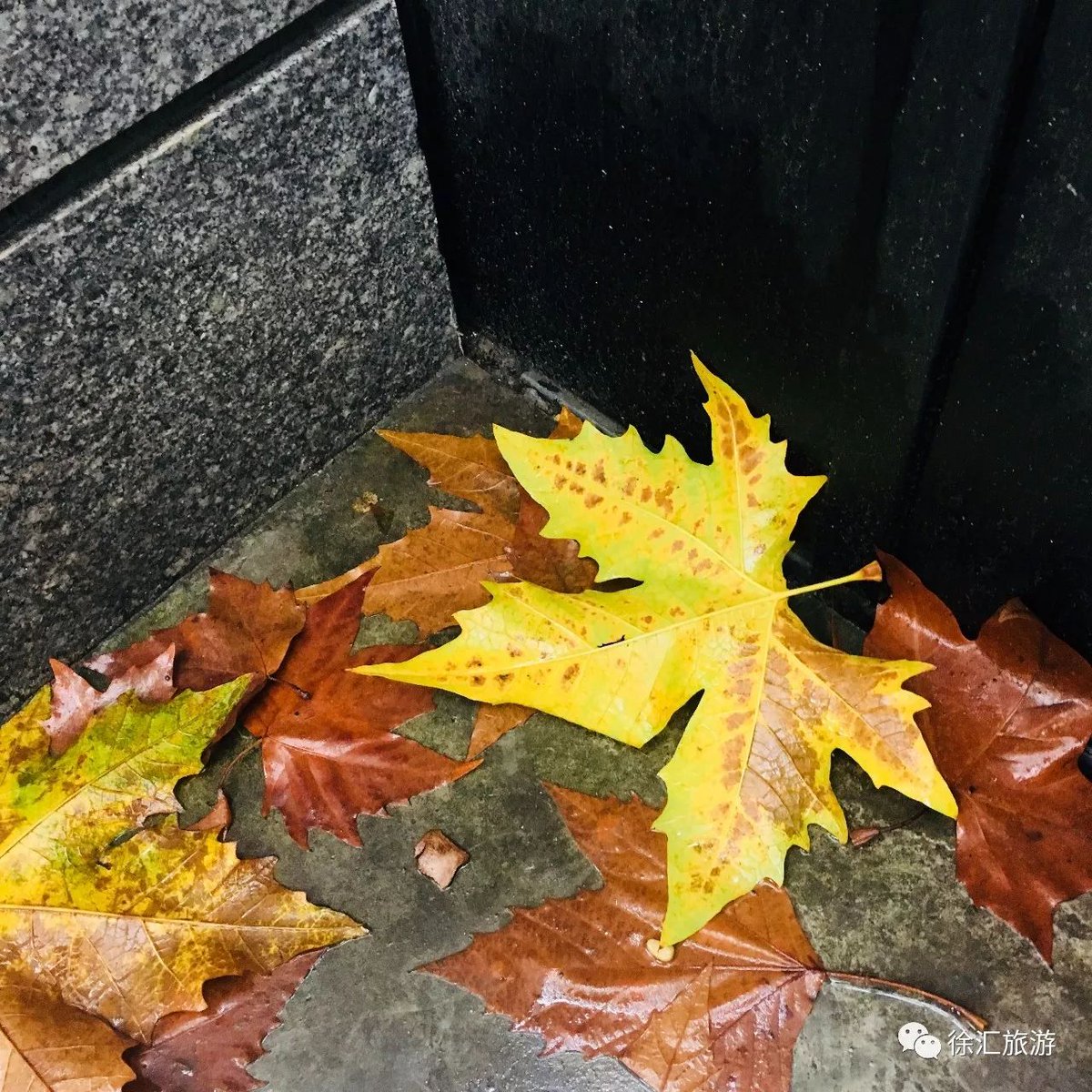 AvioHost, LTD tweet media