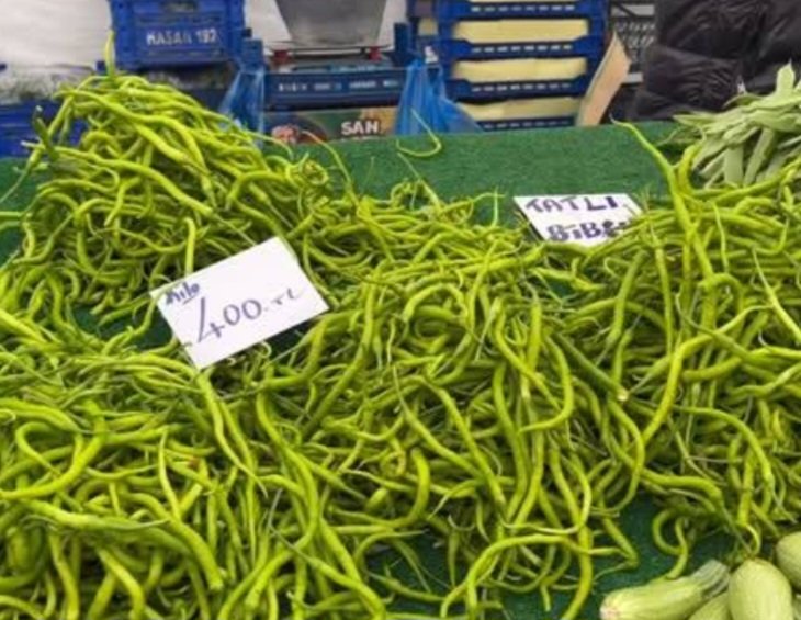 Kıl biberin kilosu 300-400 olmuş biz hala App plakalar nasıl olmalı onunla uğraşıyoruz Vay Anam Vay..!

#savaş