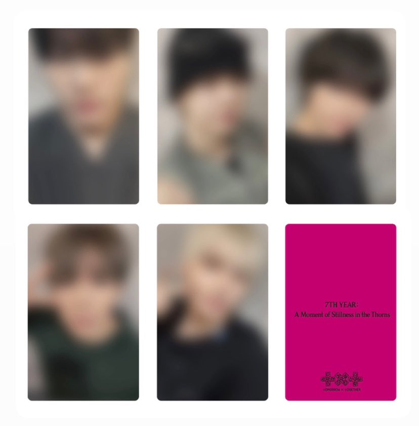 7th year: burçe 🐈 tweet media