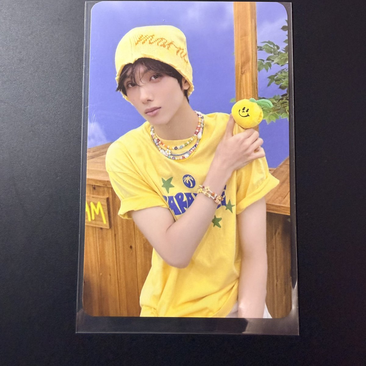 🐯ooa🐶 tweet media