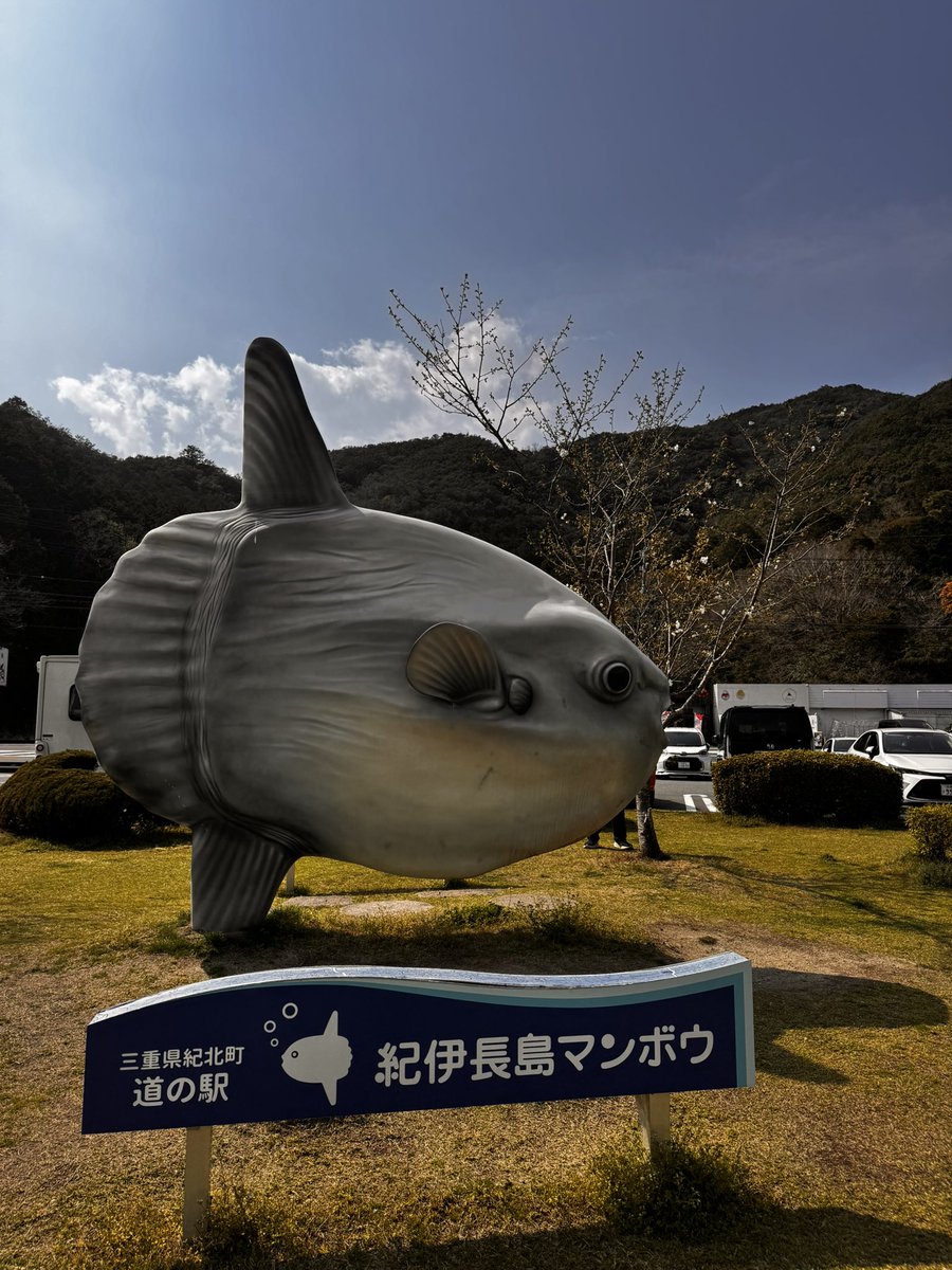 HamuHamu tweet media