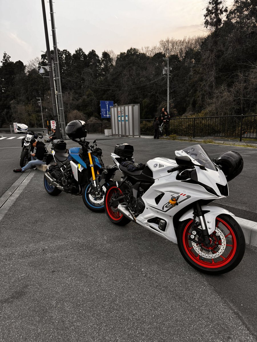 HamuHamu tweet media