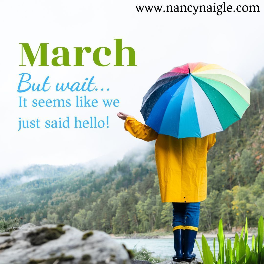 Nancy Naigle - USA TODAY Bestselling Author tweet media