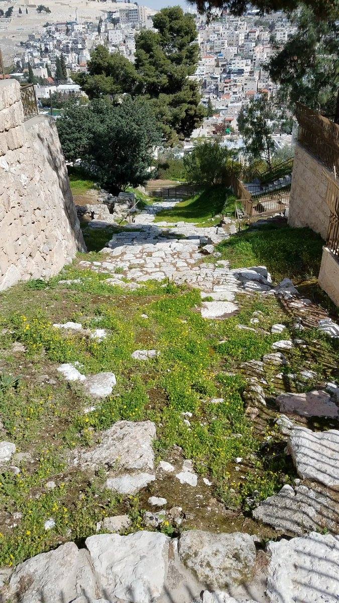 Hananya Naftali tweet media