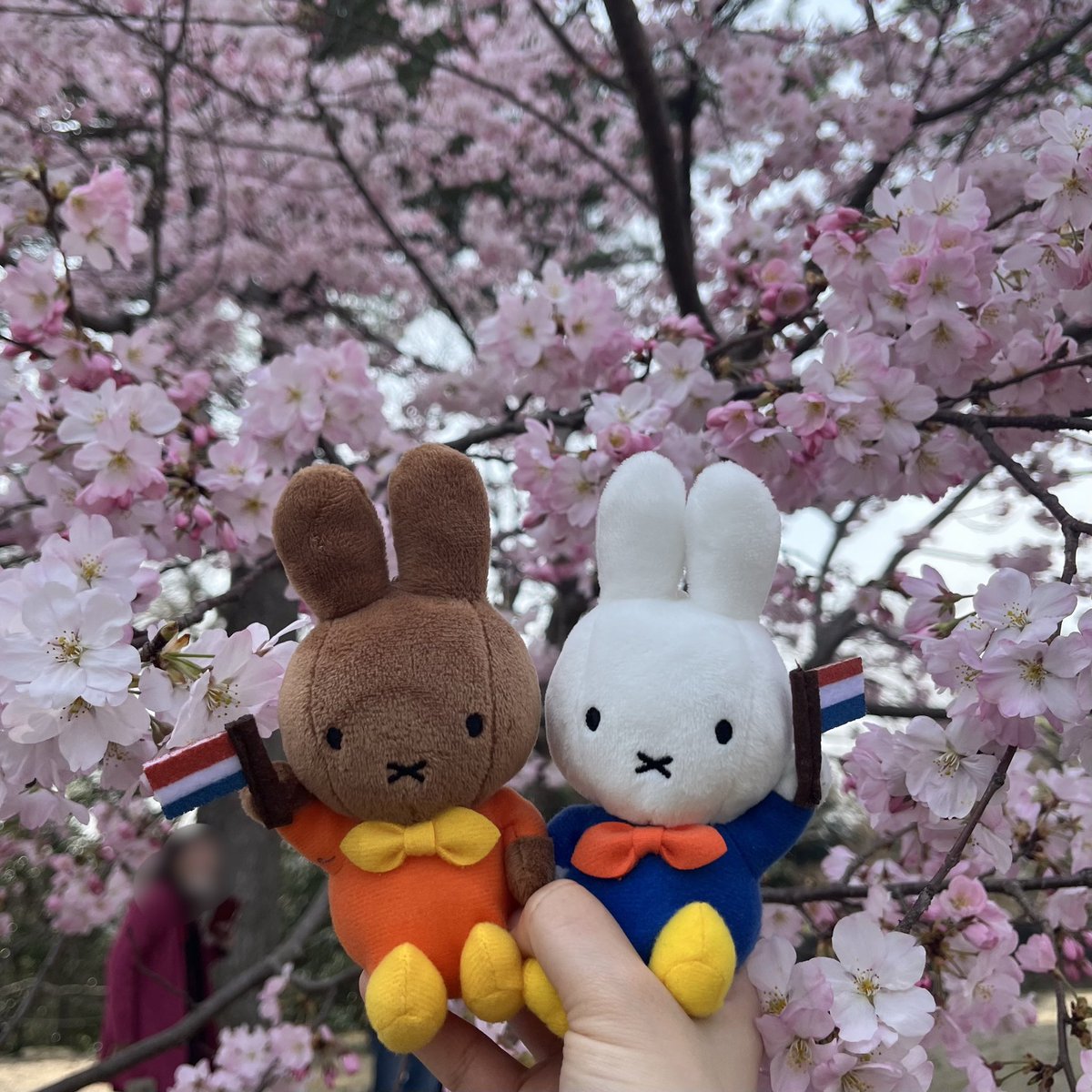 ねるこは育たなかった tweet media