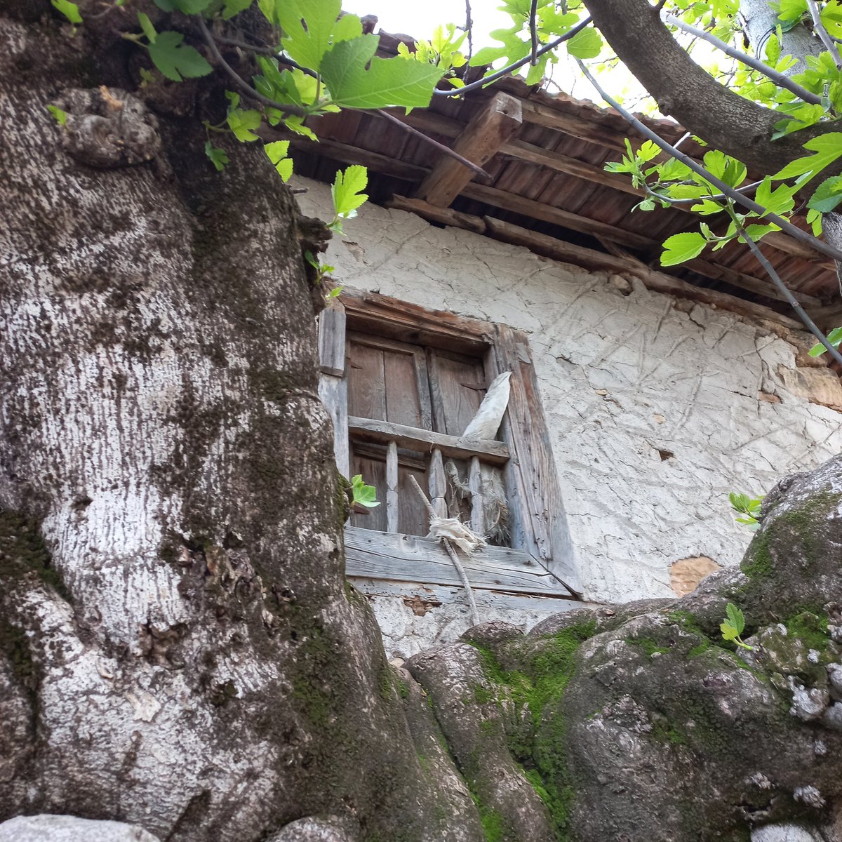 saadet 07 🇹🇷 tweet media