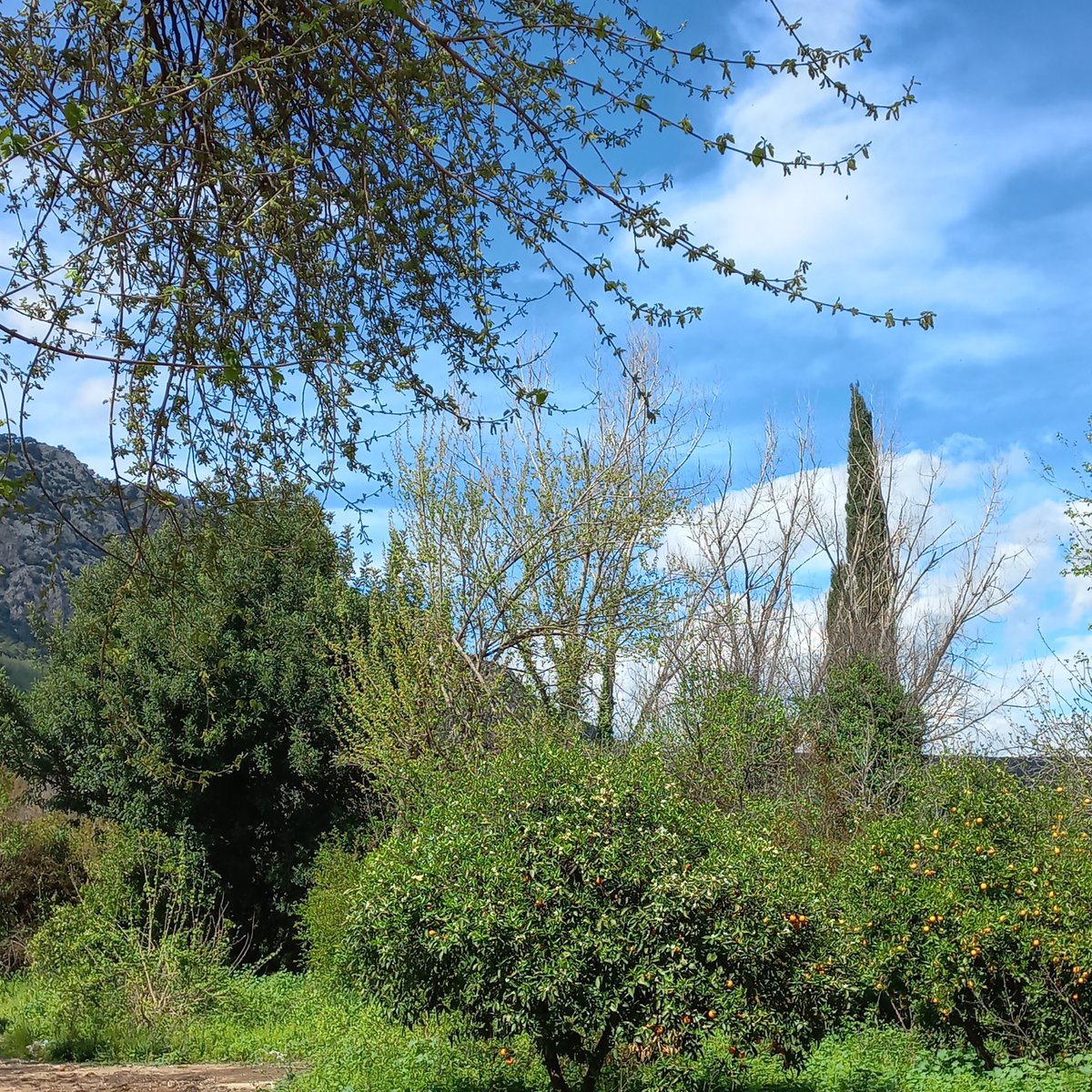 saadet 07 🇹🇷 tweet media