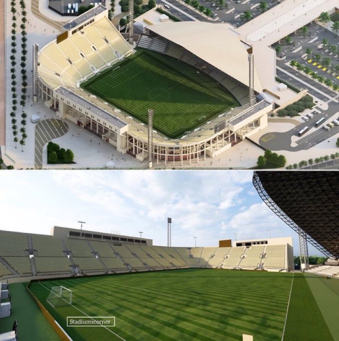 ＮＥＷＴＯＮ tweet media