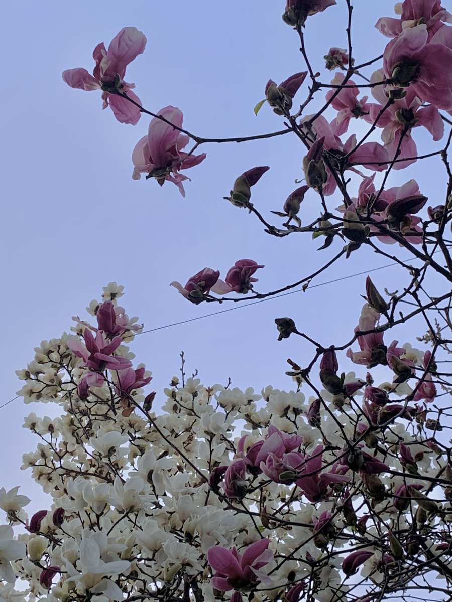 𝙤𝙣𝙚🌿 tweet media