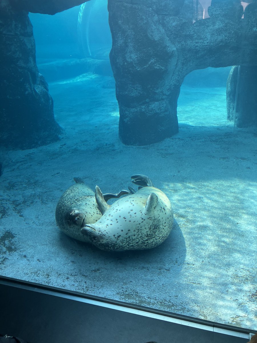 龍二🐺 tweet media