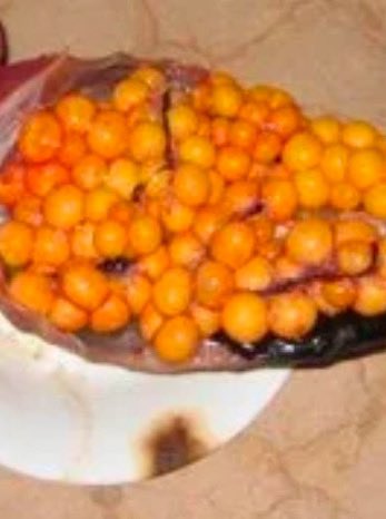 ابونايف® tweet media