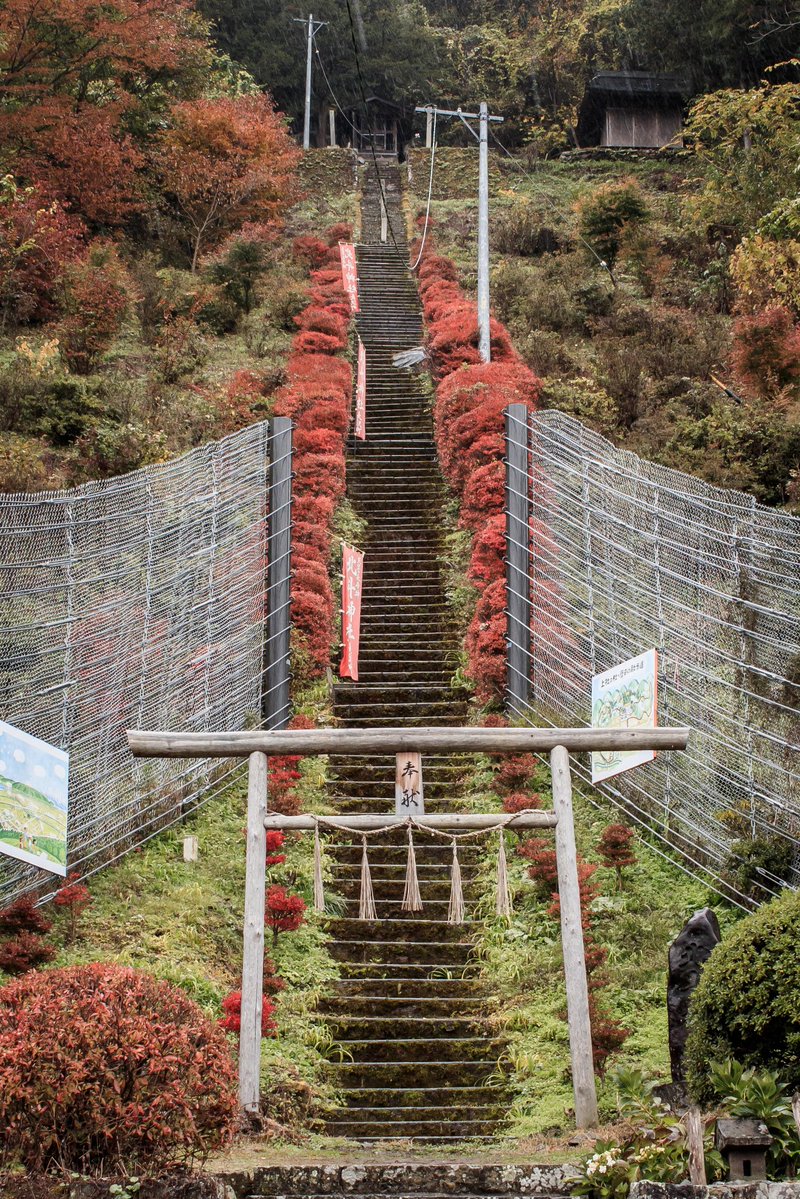 わだまう(黄緑亀)🐢 tweet media