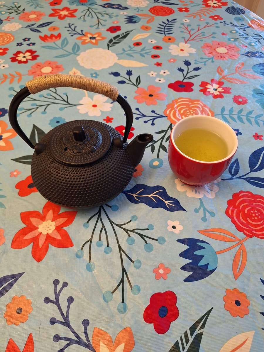 Enjoying some Japanese Sencha in my cast iron teapot 🍵