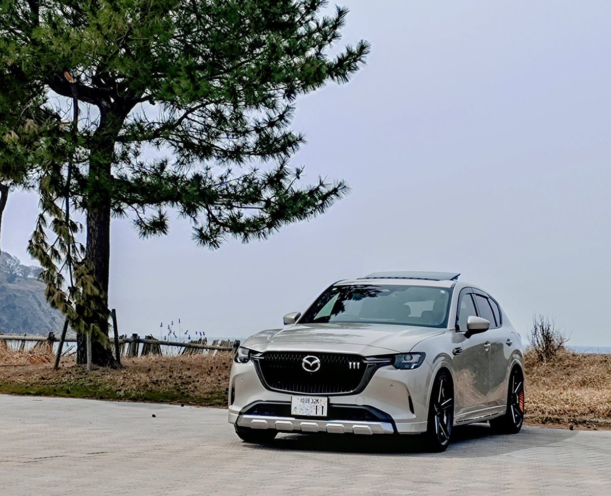 AutoExe
ローダウン車にラギッドな装いを

#cx60
#autoexe