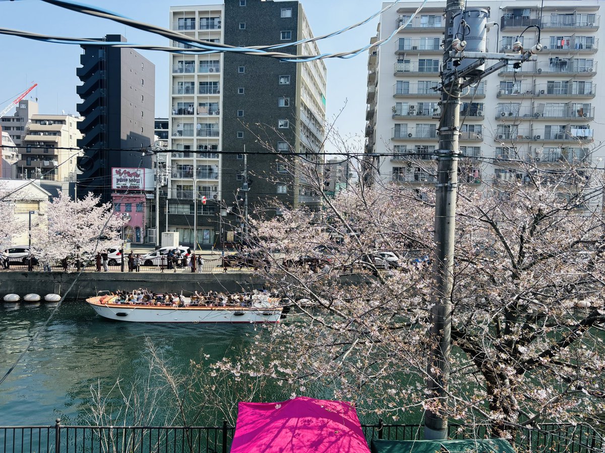 00878Apple's tweet image. ちゃぼさん 🦸‍♀️
Rock大好きリスナーの皆さん🦸‍♂️🦸

こんばんは✨

東京です🌸が綺麗ですよ

 #rock_north