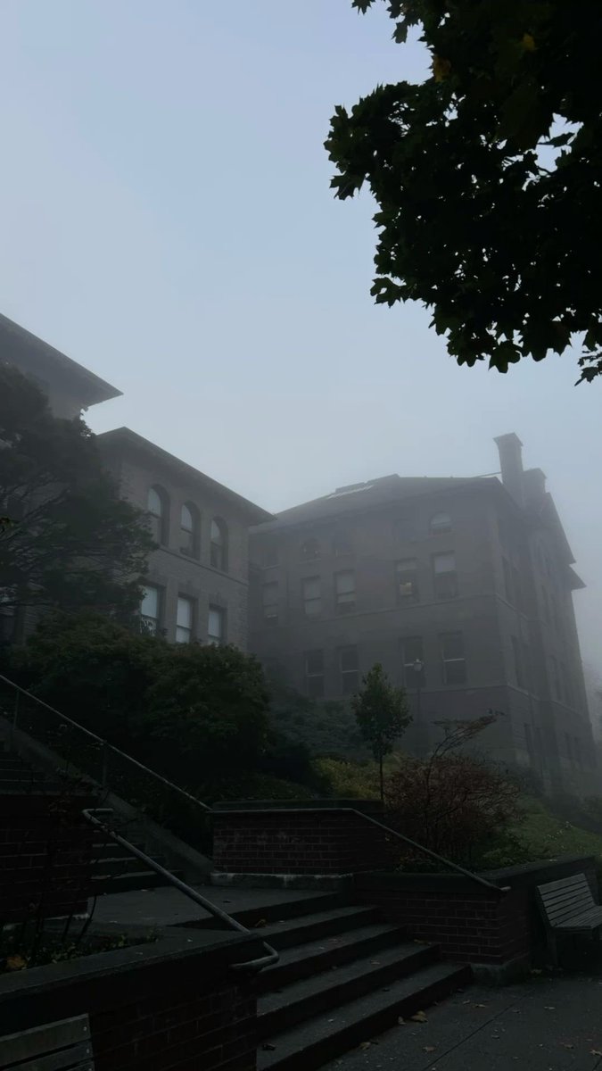 𝄞⨾𓍢ִ໋ maz tweet media