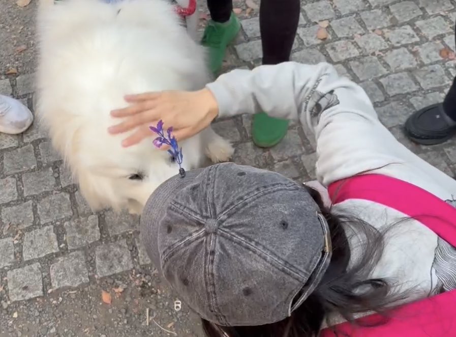 🐈‍⬛マリアンヌ🫀 tweet media