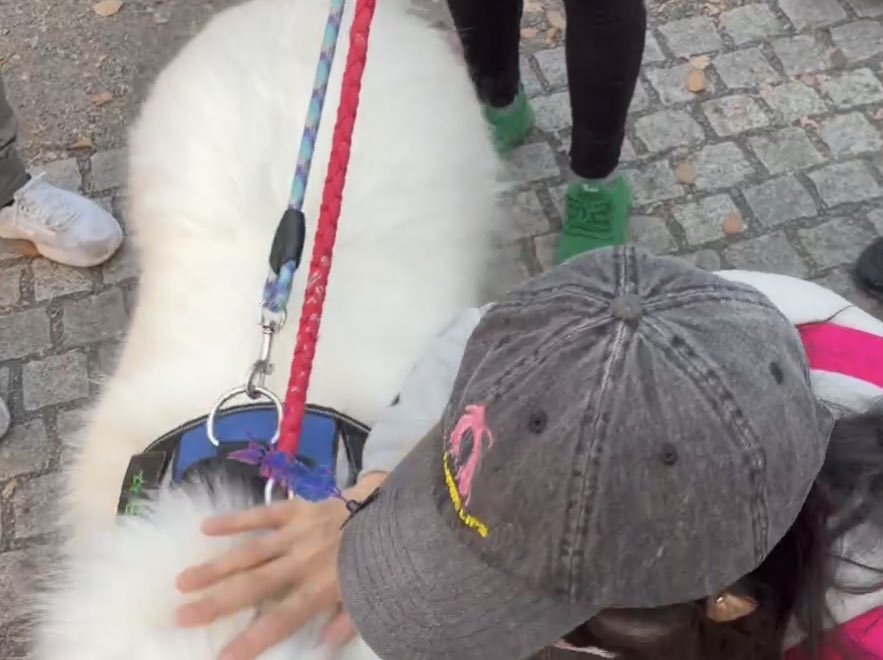 🐈‍⬛マリアンヌ🫀 tweet media