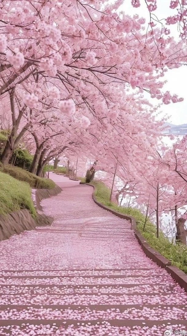 日进八斗 tweet media