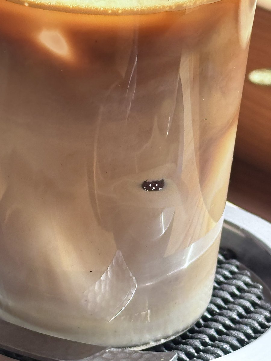 HamuHamu tweet media