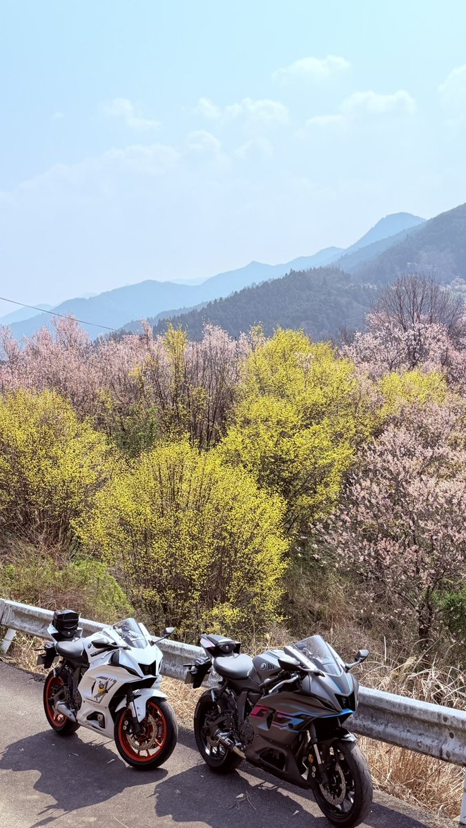 HamuHamu tweet media