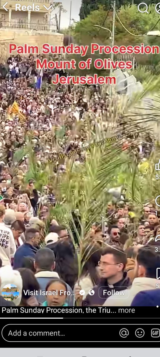 juls lau tweet media