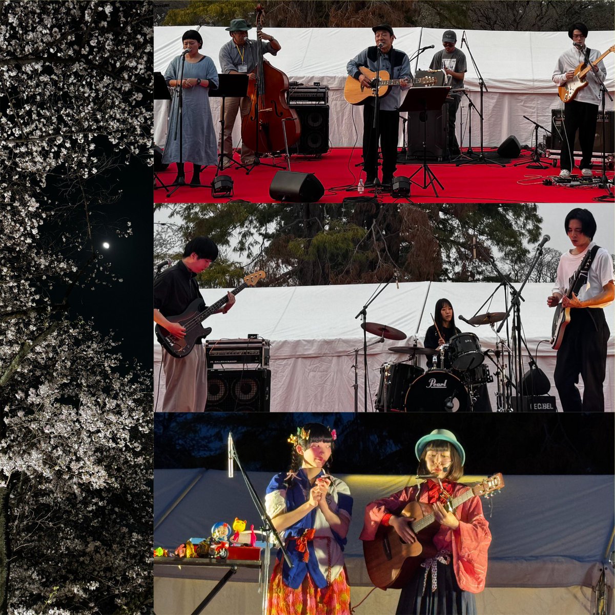 チャーリーホッパー ( buntan ) tweet media