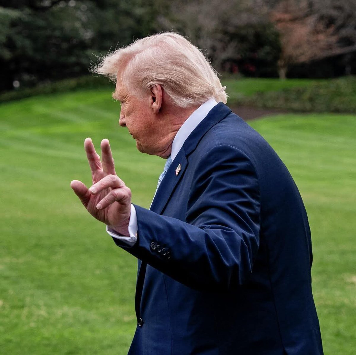 Olena Rohoza tweet media