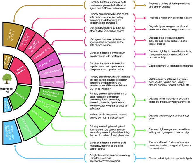 BioDesign Research tweet media