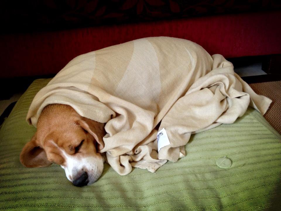 𝘼𝙣𝙜𝙚𝙡 𝘾𝙪𝙧𝙛𝙚𝙬®️ tweet media