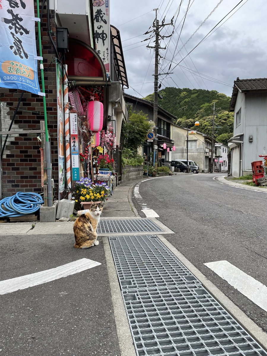 せごどん秋田 tweet media