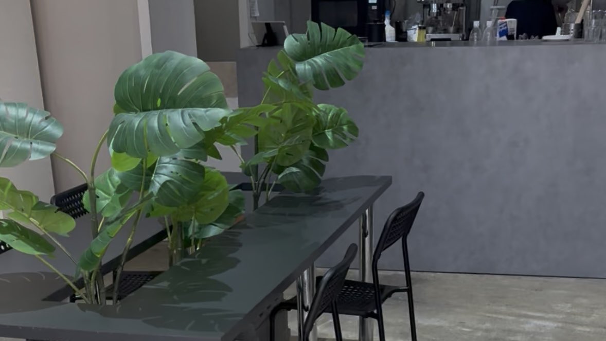 🤍.⋆𝜗𝜚 tweet media