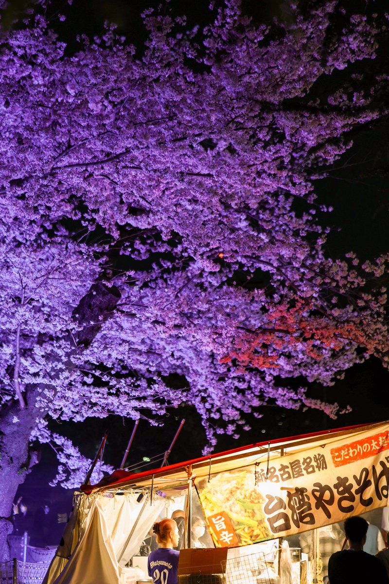 てふてふ tweet media