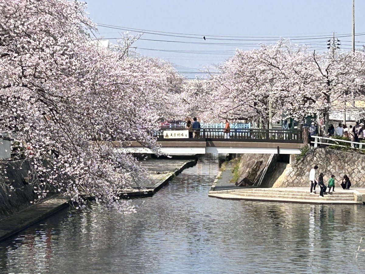 かみしたともや tweet media