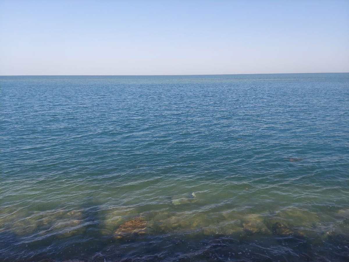 Mohammed tweet media