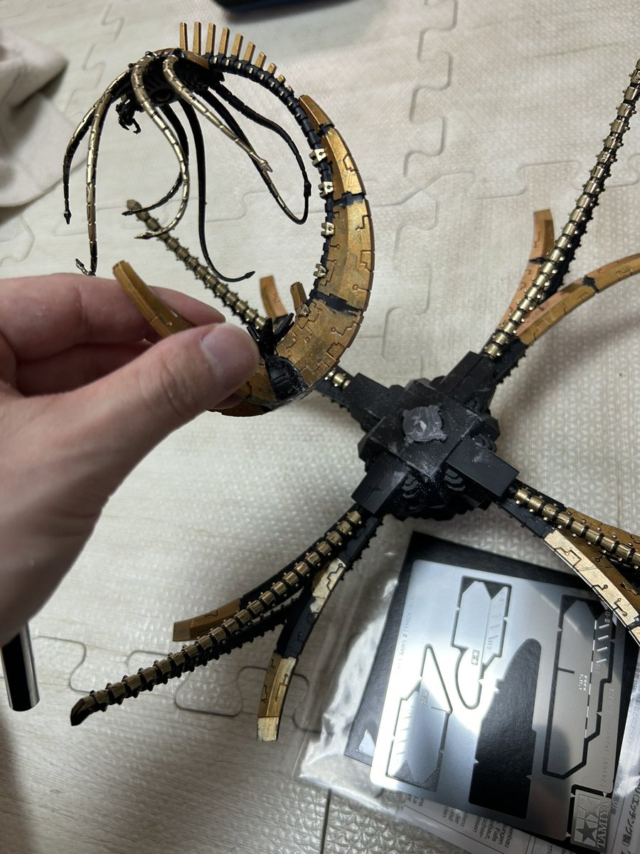 Madl (まどら) tweet media