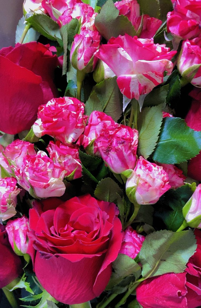 WWMM6644's tweet photo. #كلمه_ولو_جبر_خاطر
 إن كانها بالغلا ؟ كنت وما زلت 
أول ورود الهوى وآخر محاصيله . https://t.co/orgClEG1cc
