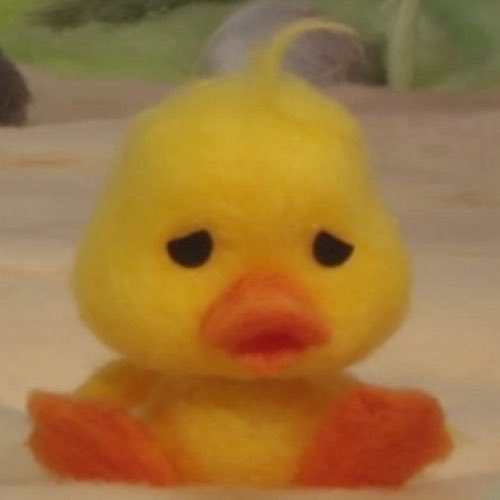 roni ⁵ tweet media