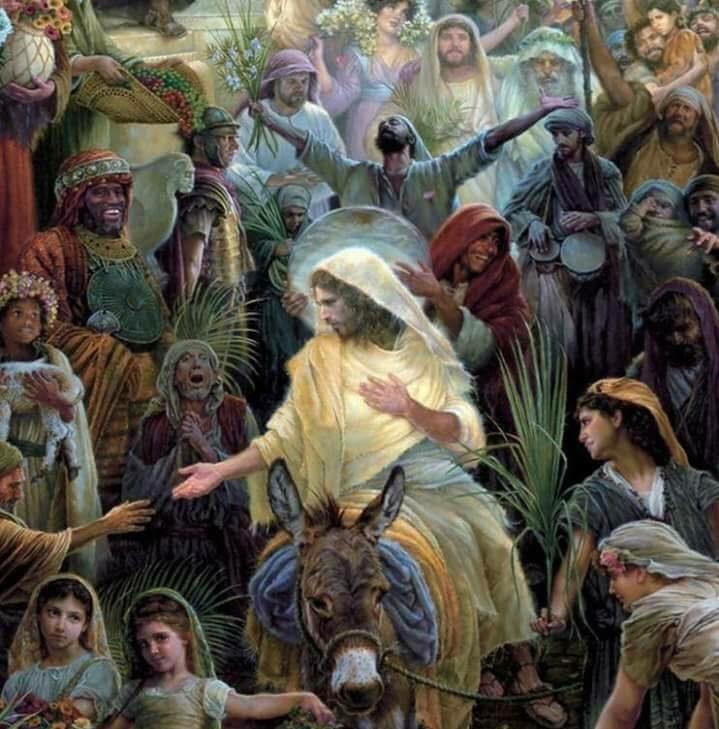 Juan C Celis S. tweet media