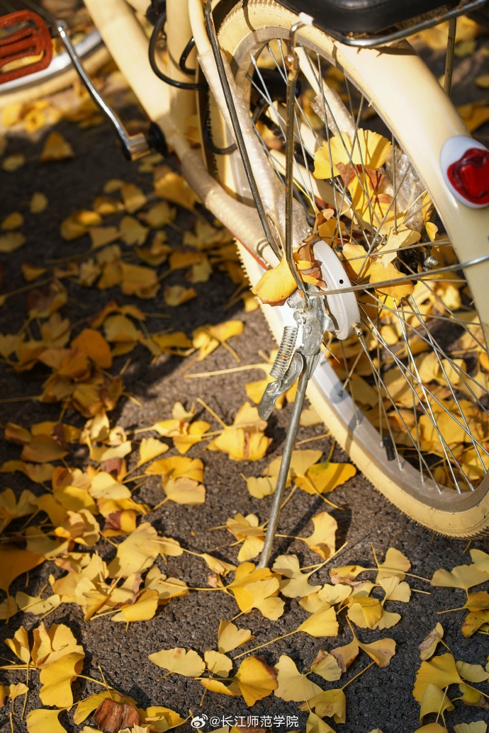 Melia Engineering tweet media