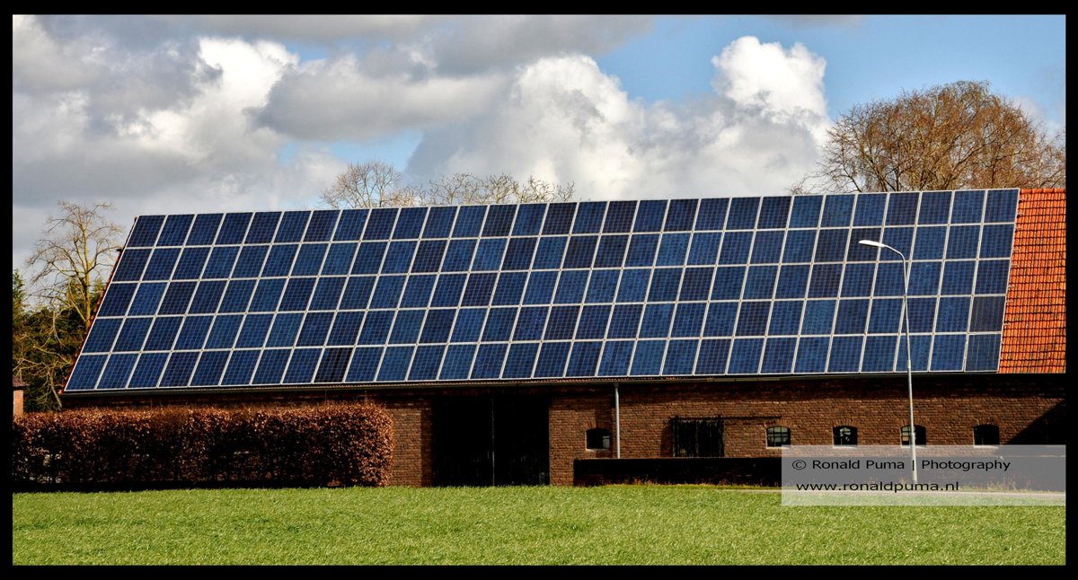 Ronald Puma tweet media